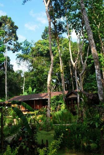 Hotel Koh Kood Little Hut