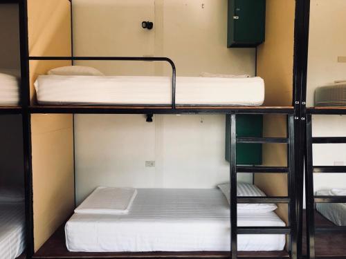 Stay Inn Hostel
