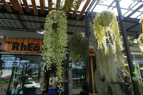 Hostal The Rhea