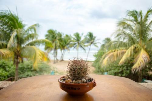 Beach Front Vieques Apartment & Beach
