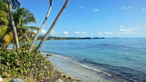 Apartamento La Palmita