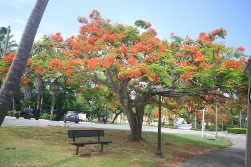 Apartamento Beach Village