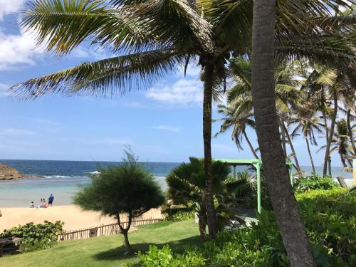 Camper Beach Front