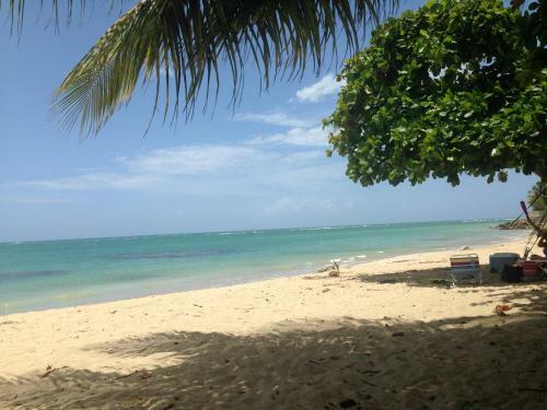 Apartamento Aquatika Beachfront And Rainforest Views
