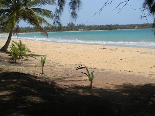 Apartamento Continental Beach Resort 2
