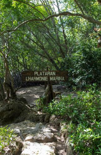 Bajul Eco Lodge Plataran