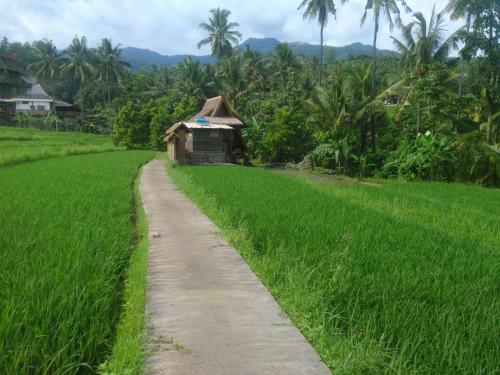 Posada Pondok Kunang Kunang