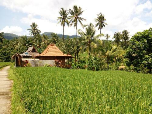 Posada Pondok Kunang Kunang