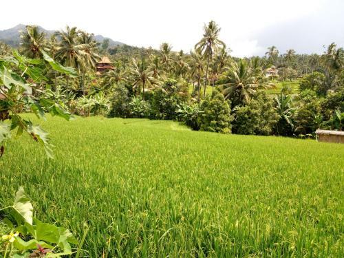 Posada Pondok Kunang Kunang