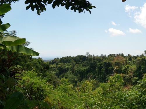 Posada Pondok Kunang Kunang
