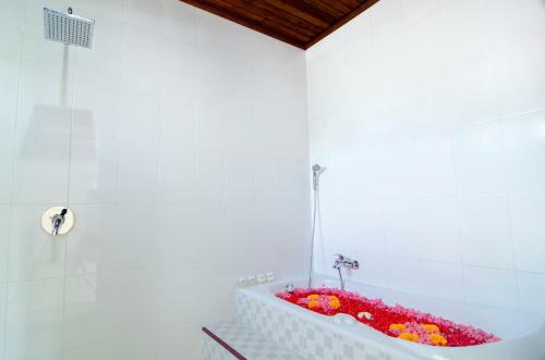 Hostal Mesari House