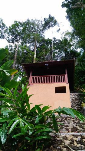 Hotel Bali Jungle Huts
