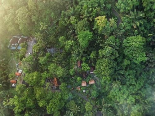 Hotel Bali Jungle Huts