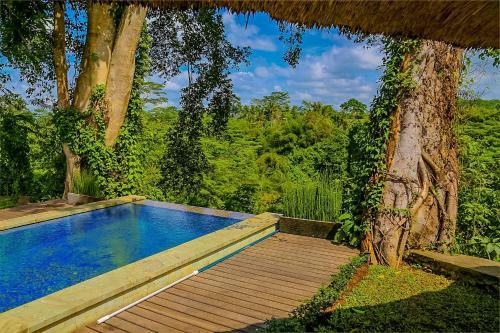 Villa Pandora