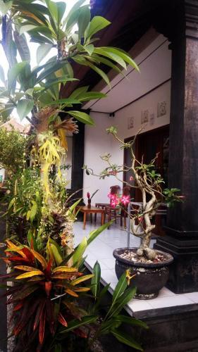 Bed & Breakfast Pondok Ayu Homestay