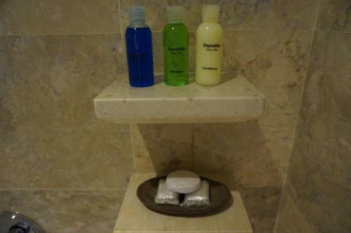 Hotel Sapodilla Ubud