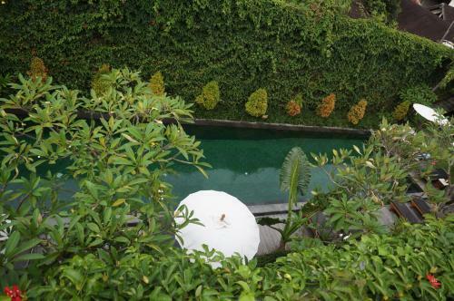 Hotel Sapodilla Ubud