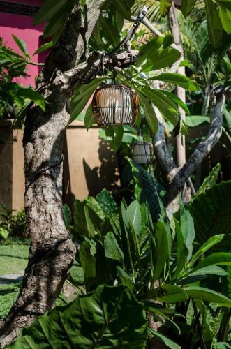 Hotel Sapodilla Ubud