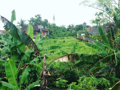Hostal Parmini Guest House (formerly Internal Pelangi 2 Guesthouse)