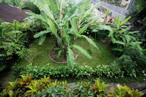 Hostal Parmini Guest House (formerly Internal Pelangi 2 Guesthouse)