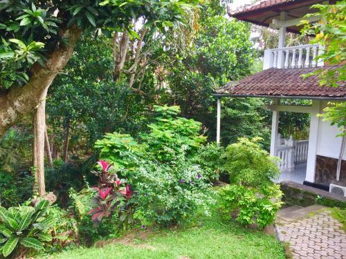 B&B Home Stay Griya Jungutan