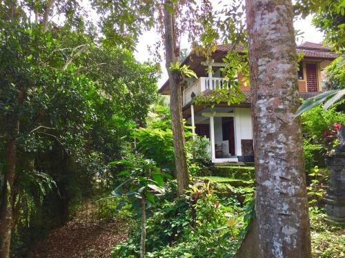B&B Home Stay Griya Jungutan