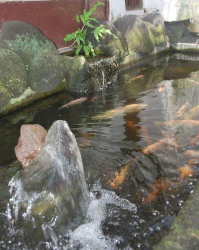 Bulan Bali Homestay & Hostel