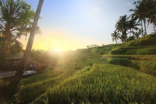 Hostal The Sunset House Ubud