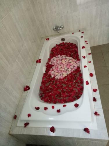 Hostal The Sunset House Ubud