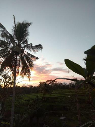 Hostal The Sunset House Ubud