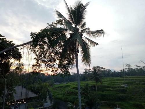 Hostal The Sunset House Ubud