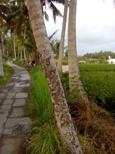 Bella Villas
