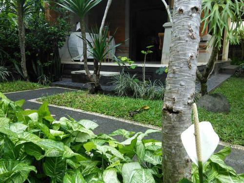 Hostal Soca Garden Guest House