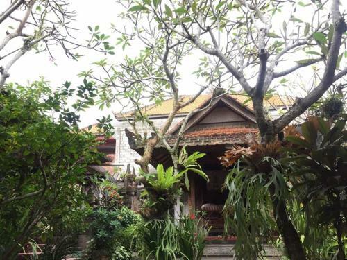 Hostal Liang House And Hostel