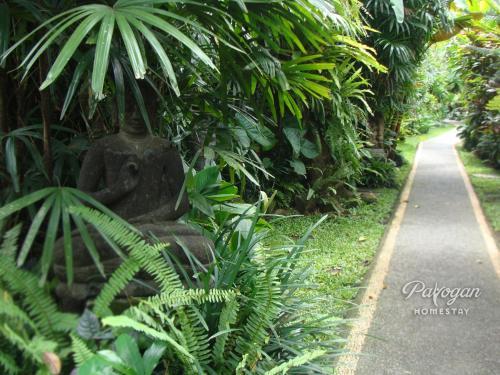 Payogan Homestay