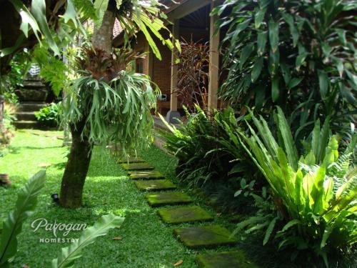 Payogan Homestay