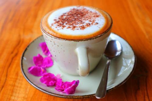 Hostal Seno Guesthouse & Cafe
