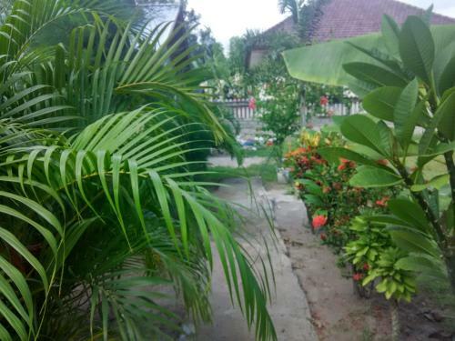 Hostal The Flower Cottages