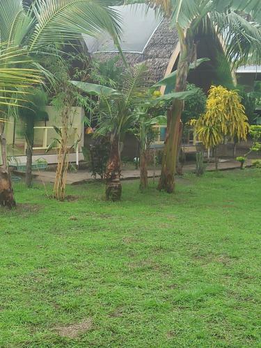 Hostal The Flower Cottages