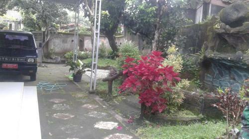 Anugrah House Lombok