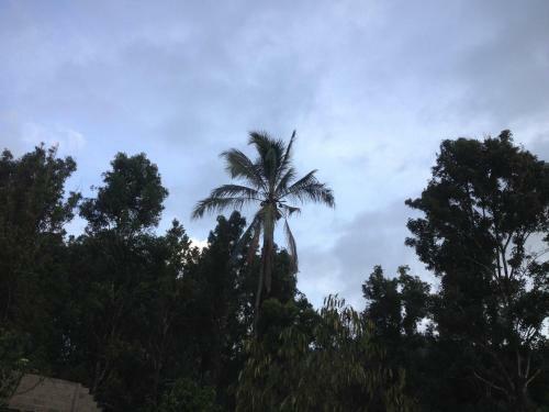 Kori Homestay And Warung Saron