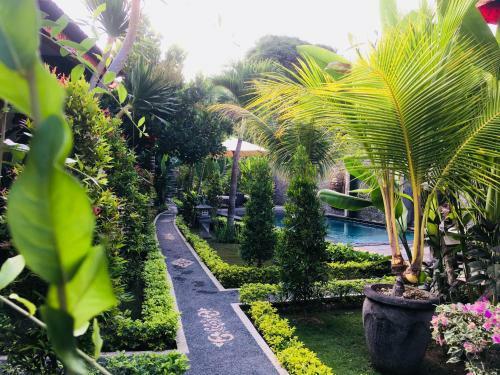 Bed & Breakfast Isola D'oro