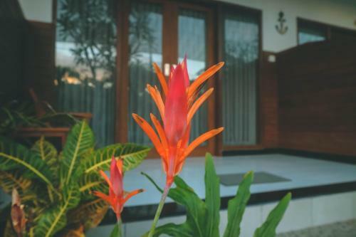 Hostal Taju Guest House