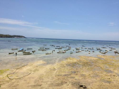 Lembongan Hostel