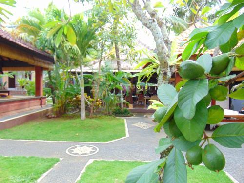 Leggie's Bungalow