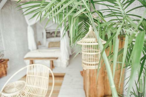 Hotel Dreamsea Bali