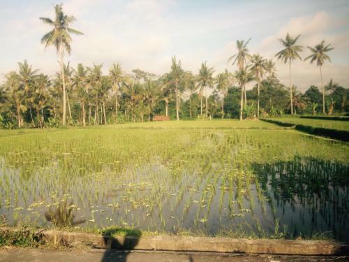 Hostal Ona House