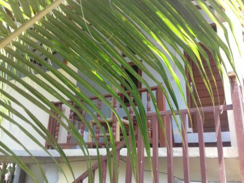 Mangga Homestay