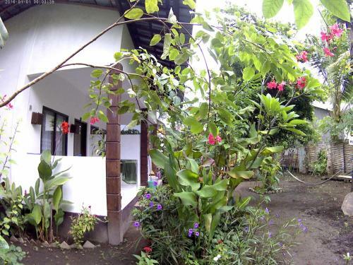Mama Homestay