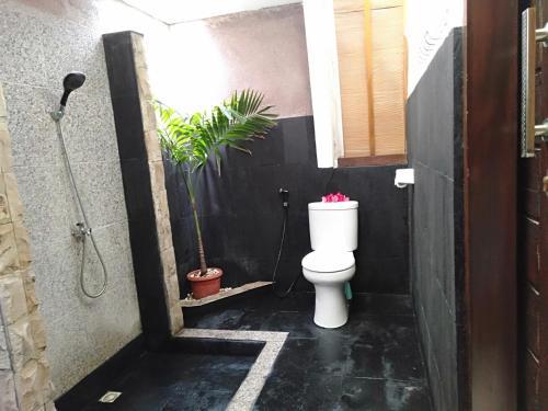 Hostal Wp Bungalow